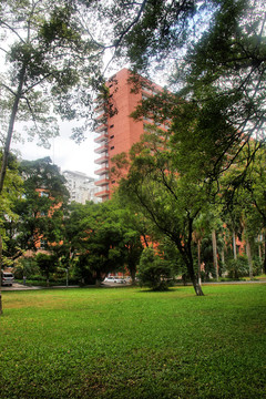 中山大学