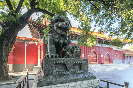 北京雍和宫铜狮