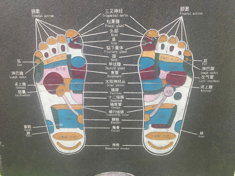 双脚穴位