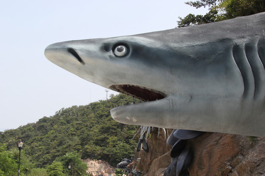 海之韵海底世界生物海星龟螺鲨鱼