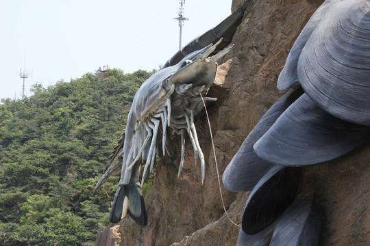 海之韵海底世界生物海星龟螺鱿鱼