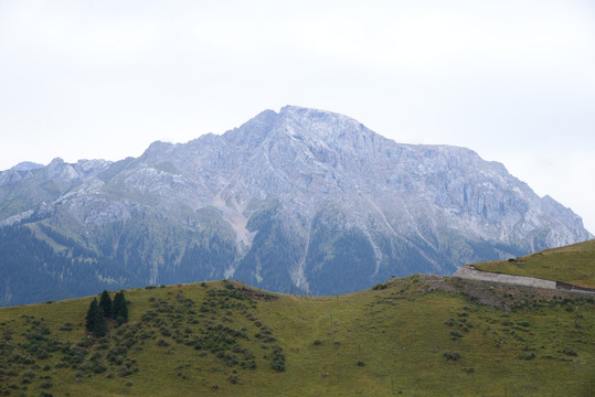 草原高山