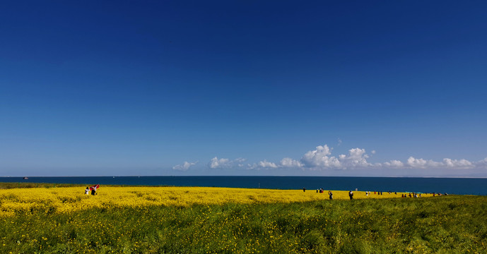 青海湖