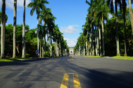 台大道路