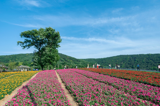 无锡拈花湾