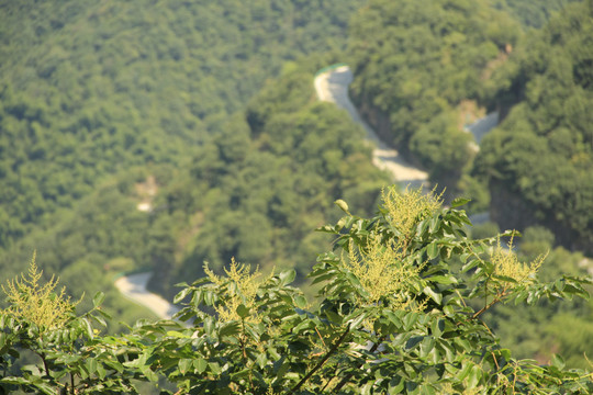 盘山公路