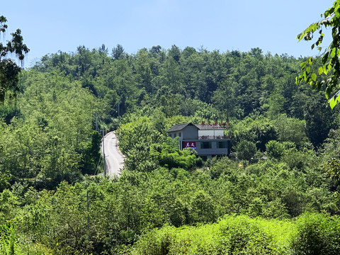 林中公路山庄