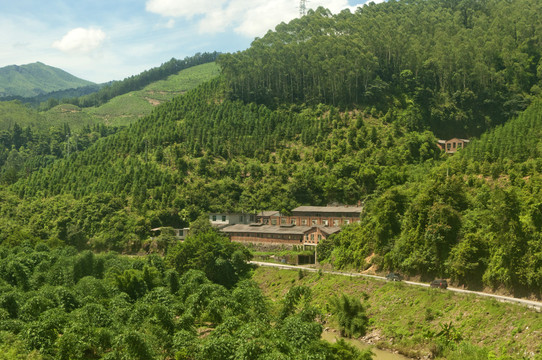 大山里的风景