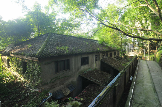 重庆枇杷山公园