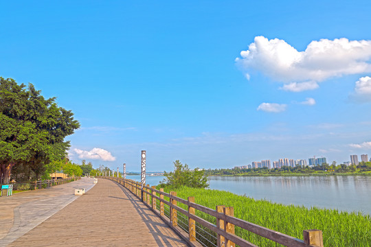 遂宁观音湖生态湿地公园