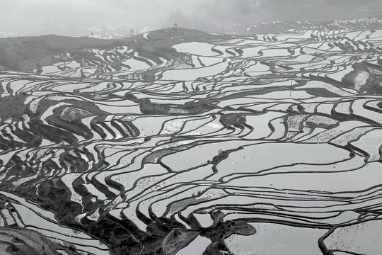 水墨哈尼梯田