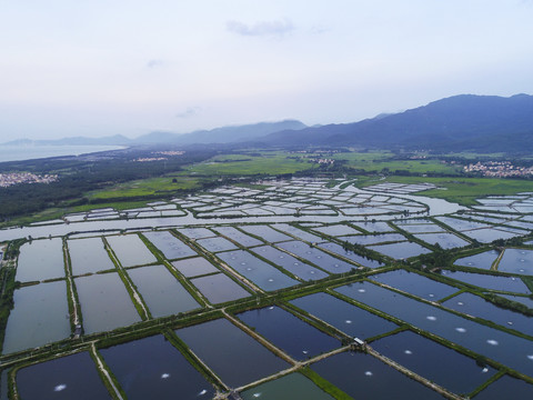 田园风光