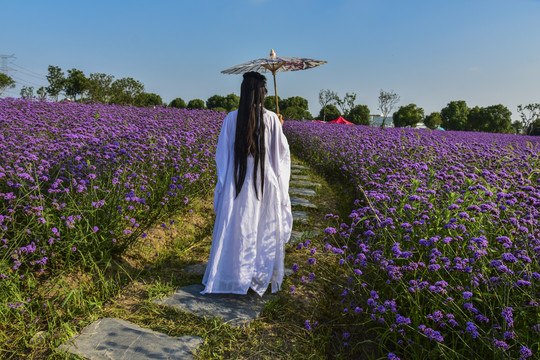 花海里的汉服美女