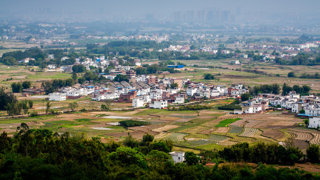 田园风光