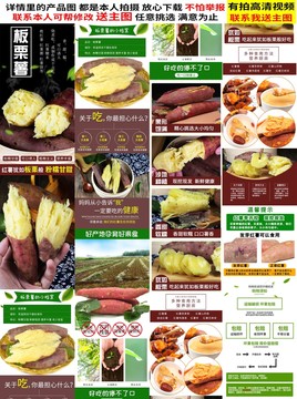 板栗薯詳情