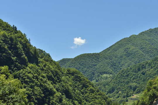 神龙架风光