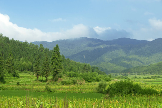 魅力乡村好风景