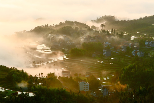 茗岙风光