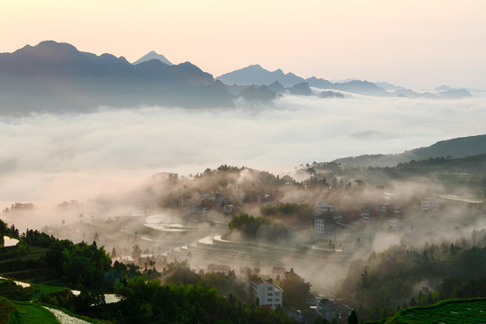 茗岙风光