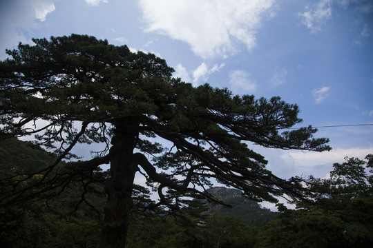 黄山