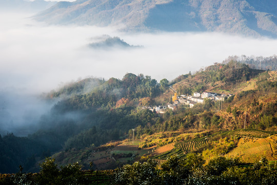 云海中的山村