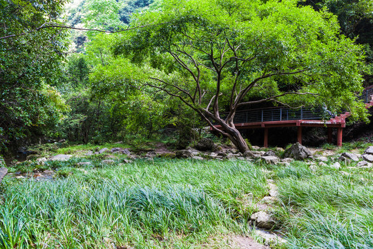 山谷草地水源地