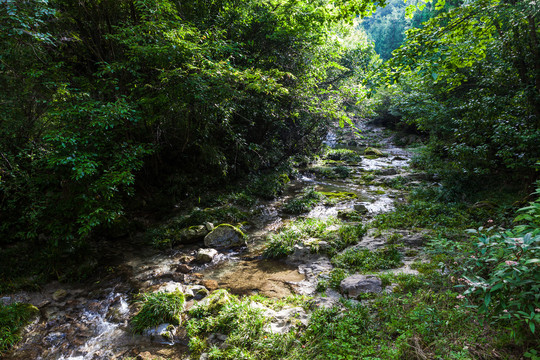 山谷溪流