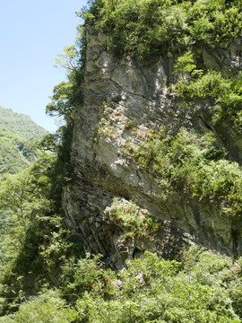 北川地质