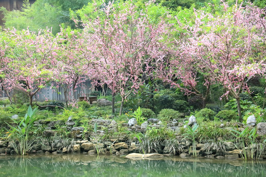 重庆酉阳桃花源