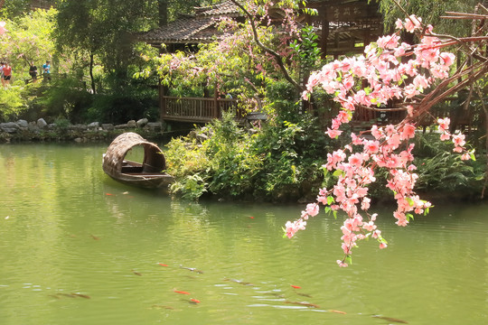 重庆酉阳桃花源