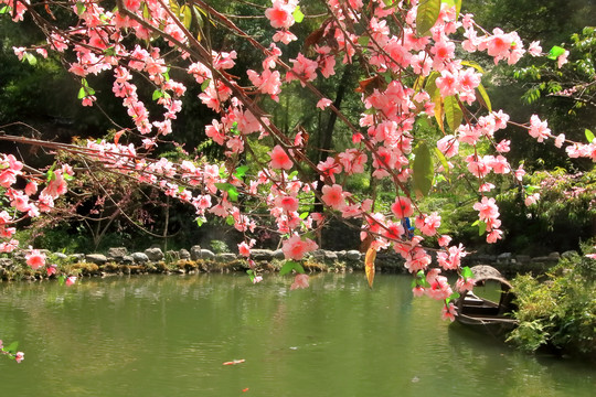 重庆酉阳桃花源