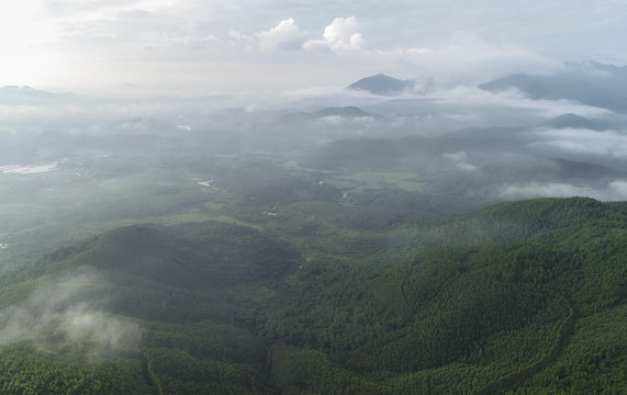 高山