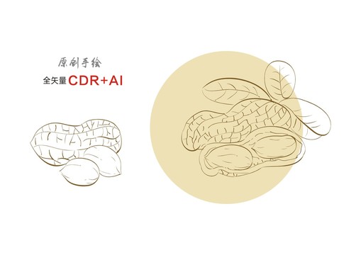 花生手繪花生線描花生插畫