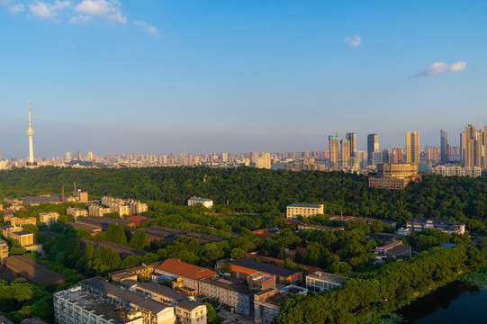 武汉夏日迷人城市天际线风光