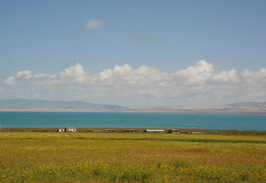 青海湖