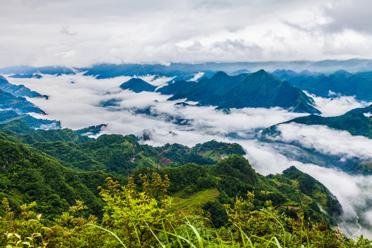 避暑胜地苏马荡云海飘渺