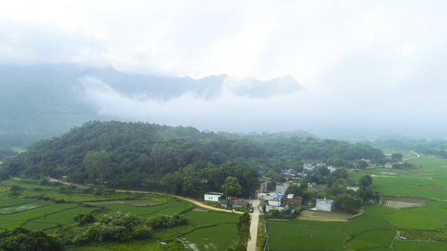 乡村雾景