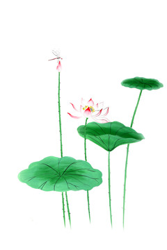 水墨荷花