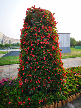 花坛装饰