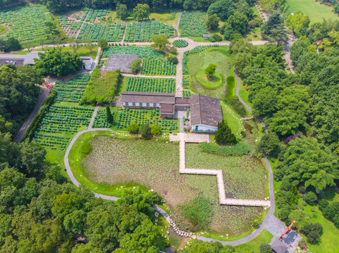 武汉东湖磨山风景区夏日航拍风光