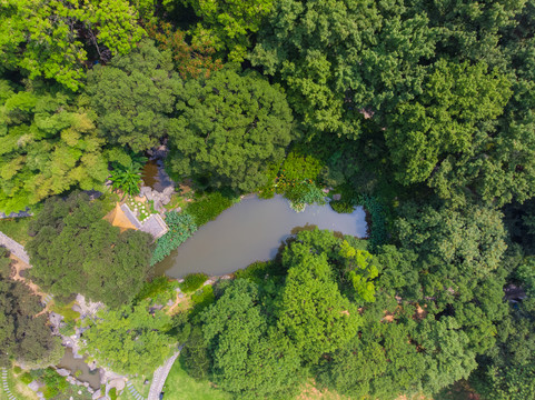 武汉东湖磨山风景区夏日航拍风光