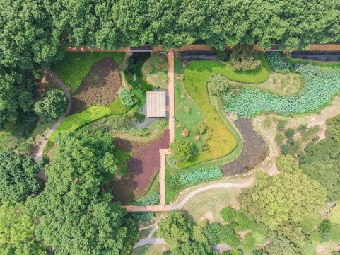 武汉东湖磨山风景区夏日航拍风光