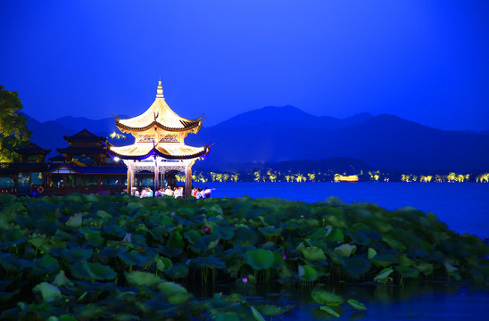 杭州集贤亭夜景