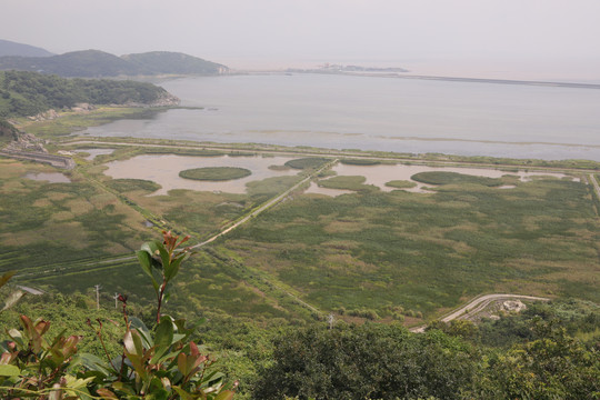 海港码头