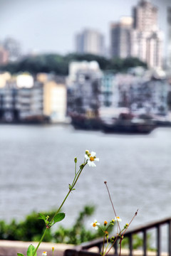 珠海湾仔口岸