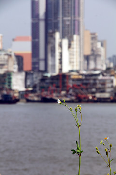 珠海湾仔口岸