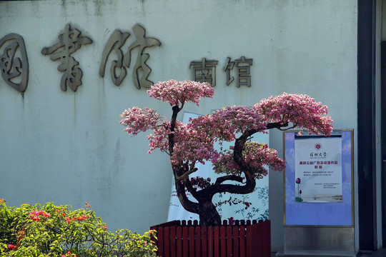 深圳大学