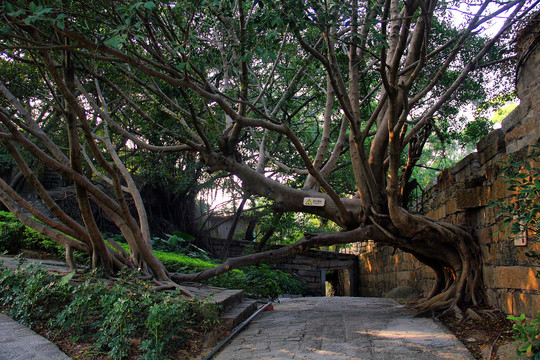 胡里山炮台厦门旅游