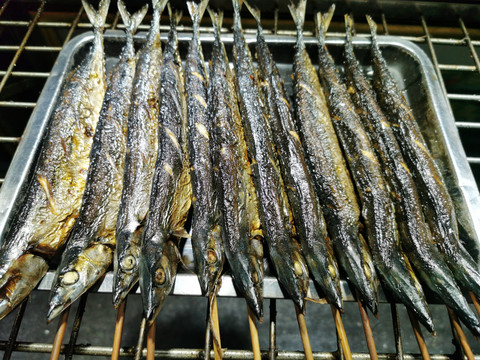 魚