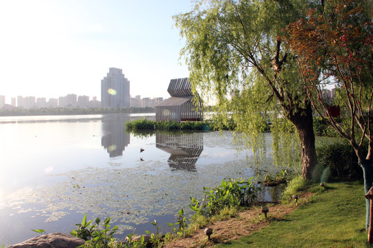 南京江北新区龙池湖边